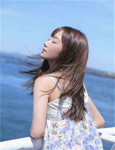 奈何boss要娶免费观看